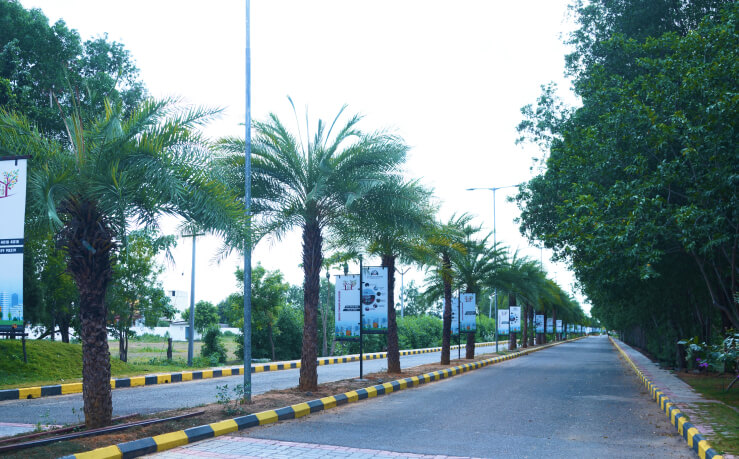 Real Estate Developers Chennai