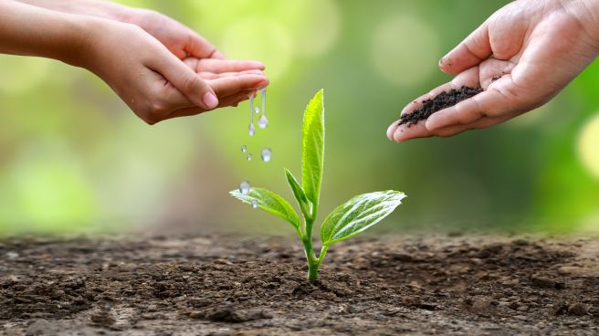 Residential Plots in Madurai